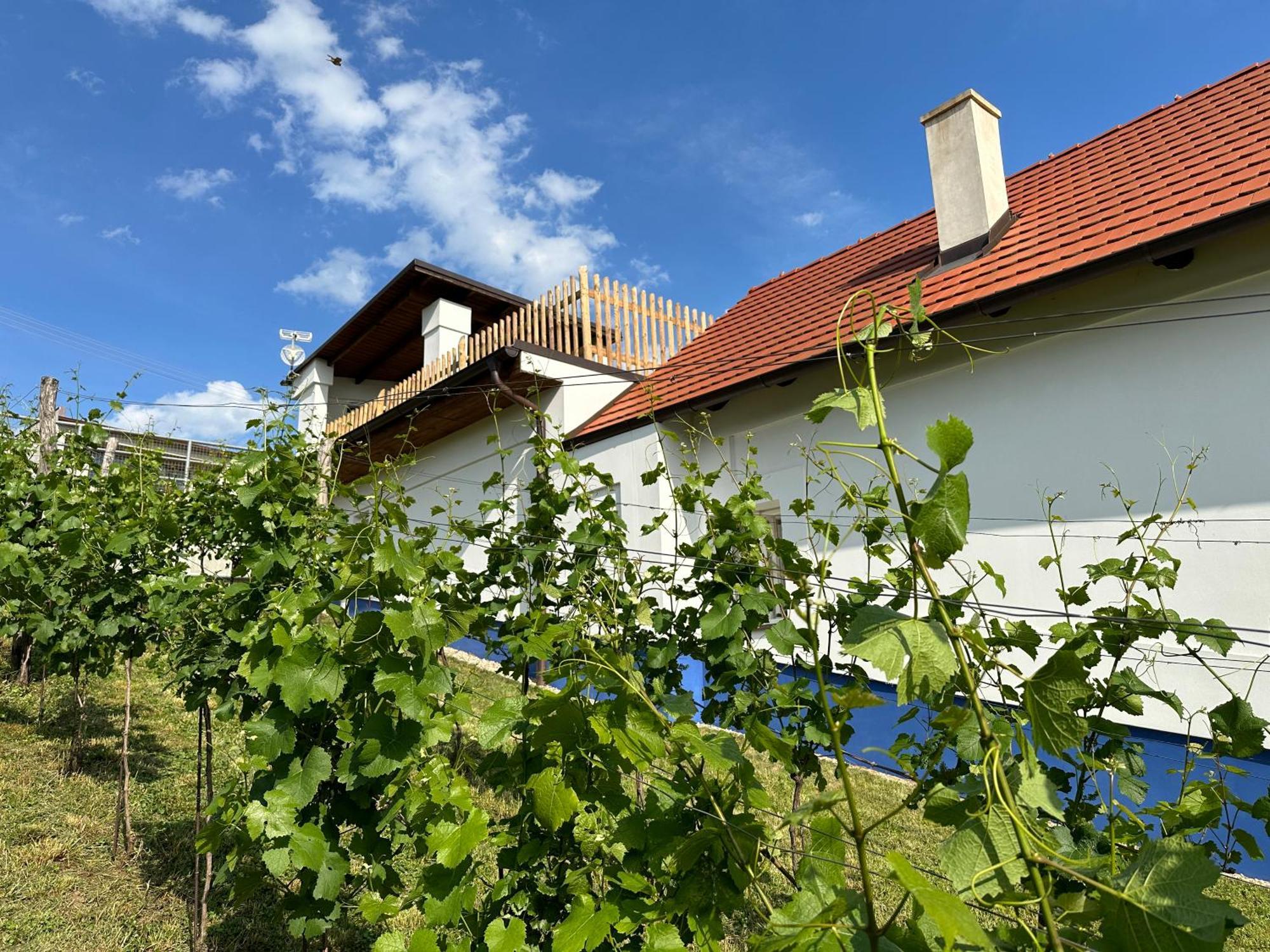 Nad Slovackym Sklipkem Villa Tupesy Ngoại thất bức ảnh
